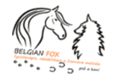 Belgian Fox, fyzioterapie a rehabilitace psů